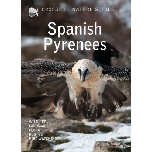 Crossbill Nature Guide Spanish Pyrenees - Crossbill Guides - Dirk Hilbers