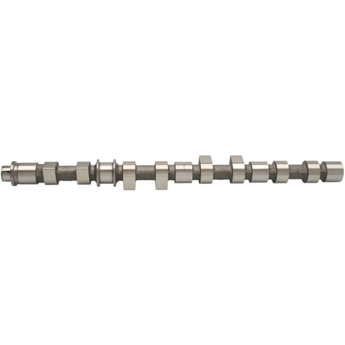 Nokkenas  AMC 647269