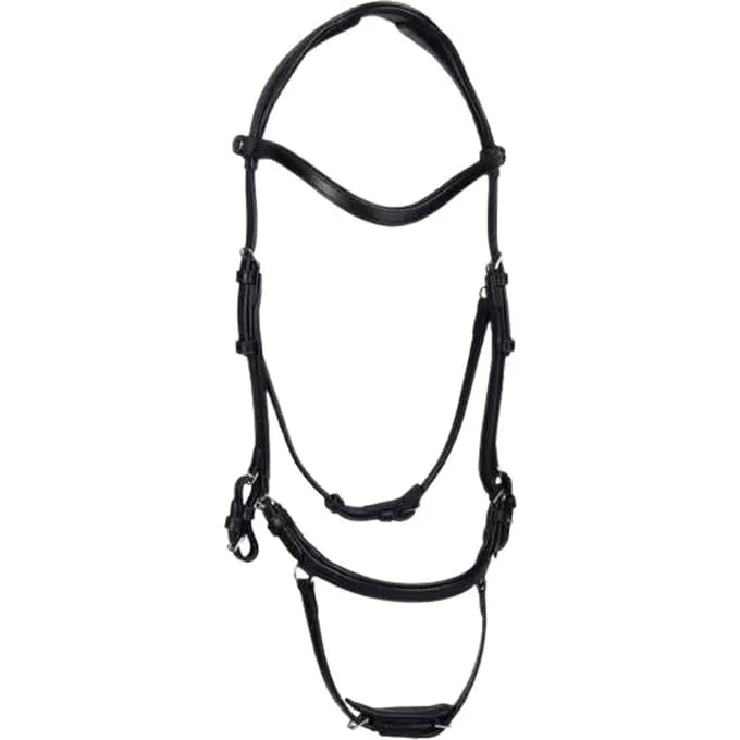 Hoofdstel PS of Sweden King Edward