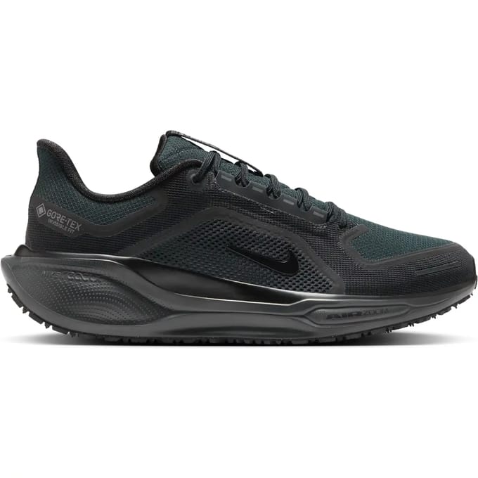 Hardloopschoenen Nike Pegasus 41 Gore-Tex