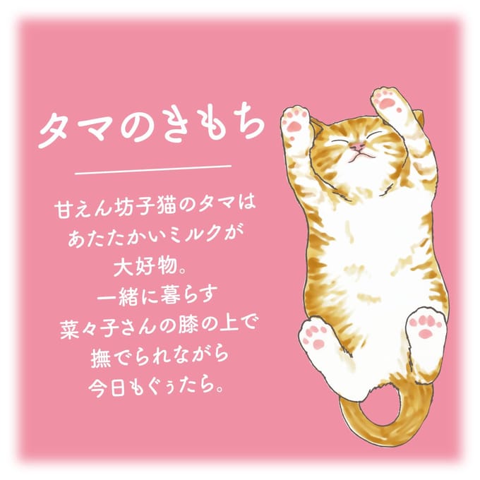 Kimochi - Cat Tama Hot Milk Hot Eye Mask Set 5 pcs