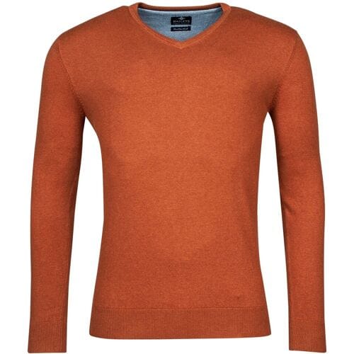 Baileys Trui V-Neck Single Knit Uni Pima Cotton Red Earth / male