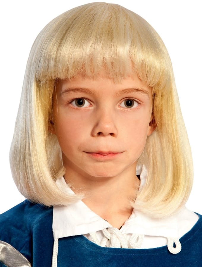 De Kleine Lord Pruik Voor Kinderen