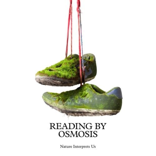Reading By Osmosis. Nature Interprets Us - Sema Bekirovic