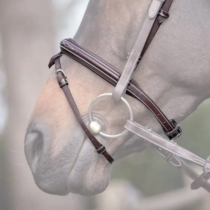 Combinatie paardenneusriem Jump'In Wednesday
