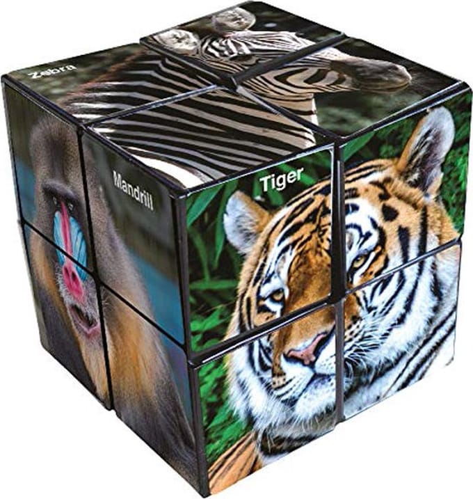 Elliot Breinbreker Starcube Wildlife 5,8 Cm 2-delig