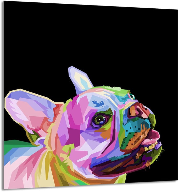 TMK ArtDeko - Kookplaat achterwand - 60x65 cm - Glas - Pies