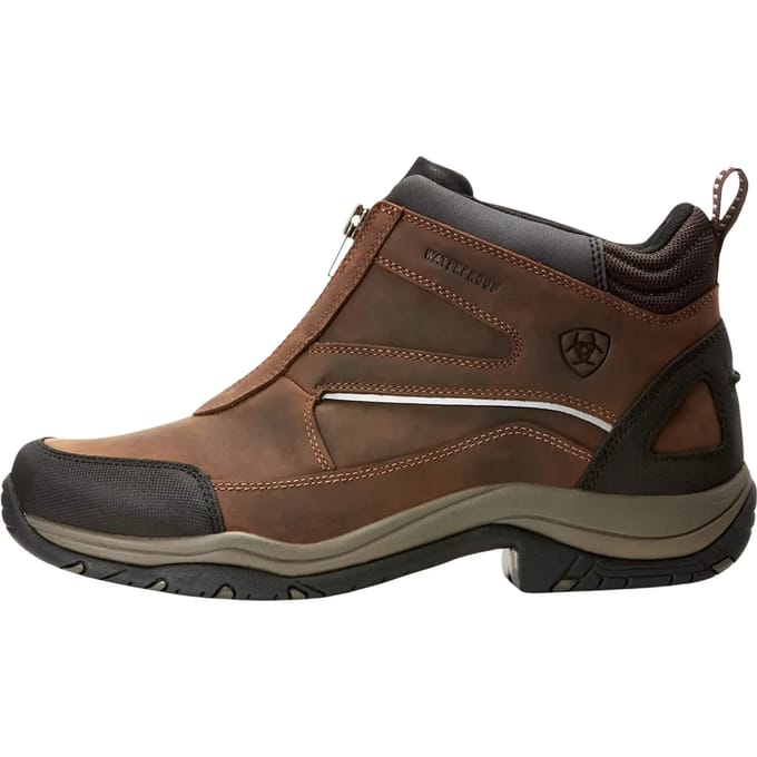 Mannen stal schoenen Ariat Telluride Zip Waterproof