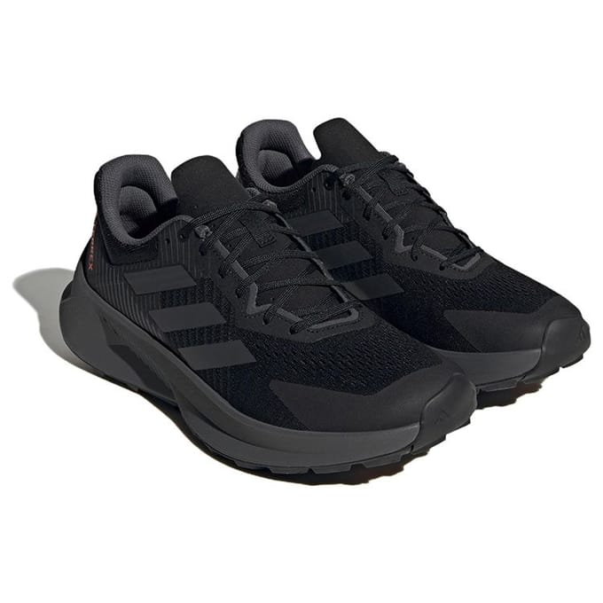 Hardloopschoenen adidas Terrex Soulstride Flow