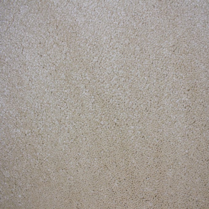 Vloerkleed Xilento Soft Koren | 200 x 300 cm