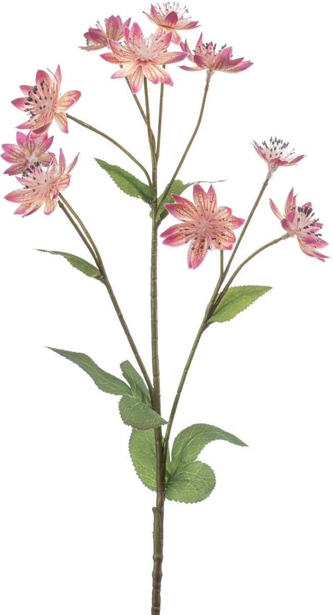 Emerald - Kunstbloem Astrantia roze 70cm - Kunstplant voor binnen