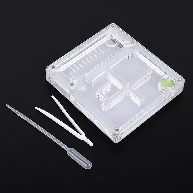 Acryl Transparant Mierenkweekhuis Nest Formicarium Displaybox Ornamentaal white