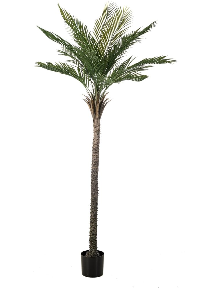 Emerald - Kunstboom Palm UV 210cm - Kunstplant voor binnen