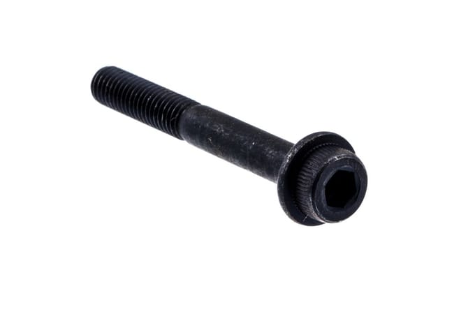 Screw