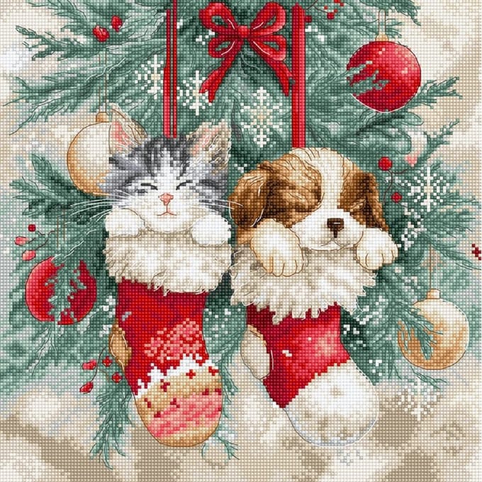 Borduurpakket - Hond En Kat In Kerstsok - Leti Stitch