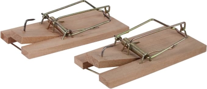 Talen Tools - Muizenval - Hout - 2 stuks