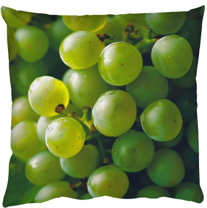 Sierkussens - Kussentjes Woonkamer - 45x45 cm - Druiven - Tros - Groen