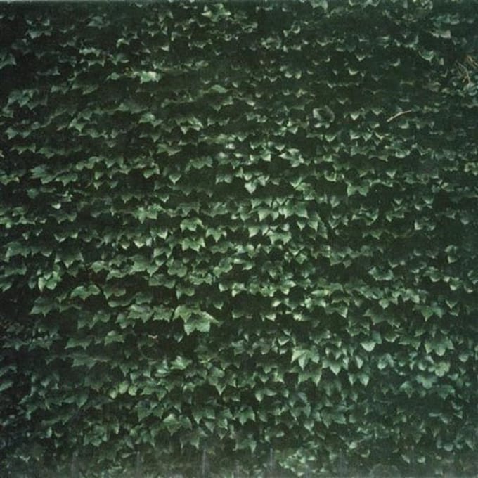 Tarentel - The Order Of Things (CD)