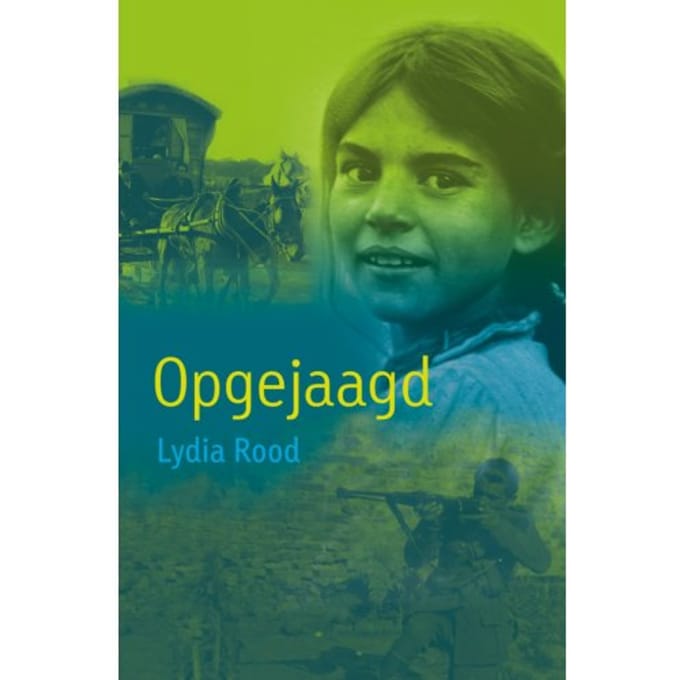 Opgejaagd - Lydia Rood