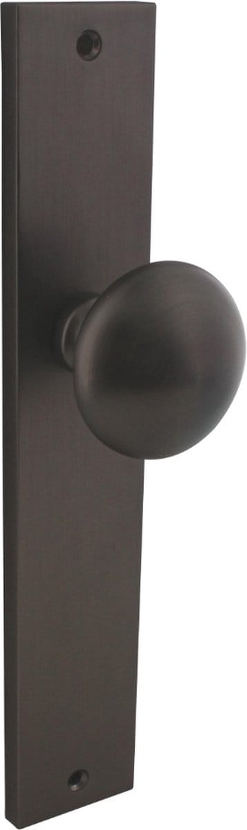 Intersteel Knopschild 245x45 mm blind antracietgrijs