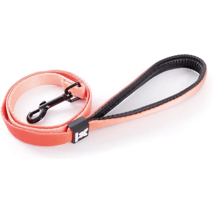 Nylon hondenriem Martin Sellier S
