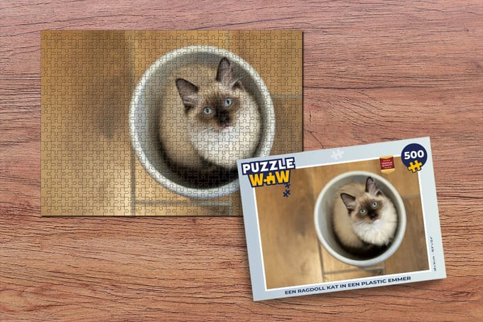 Puzzel Een Ragdoll kat in een plastic emmer - Legpuzzel - Puzzel 500 stukjes