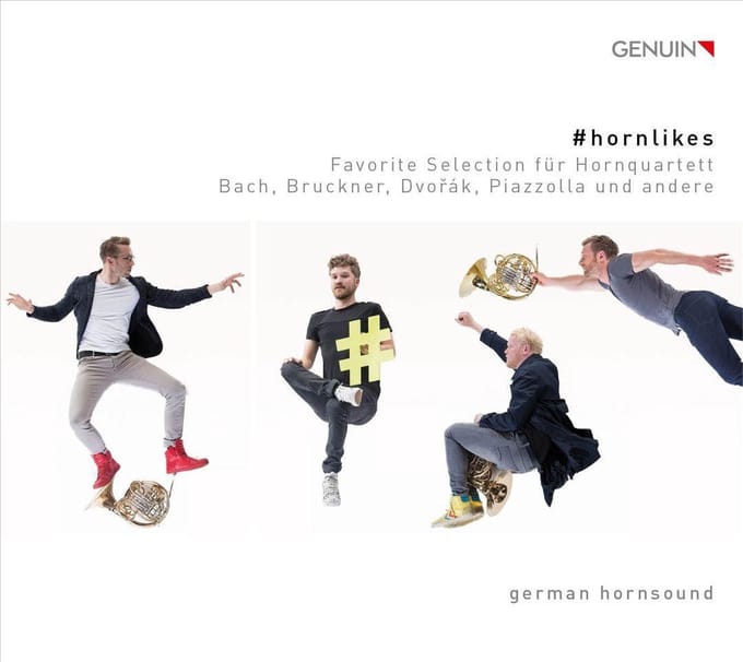 Hornlikes