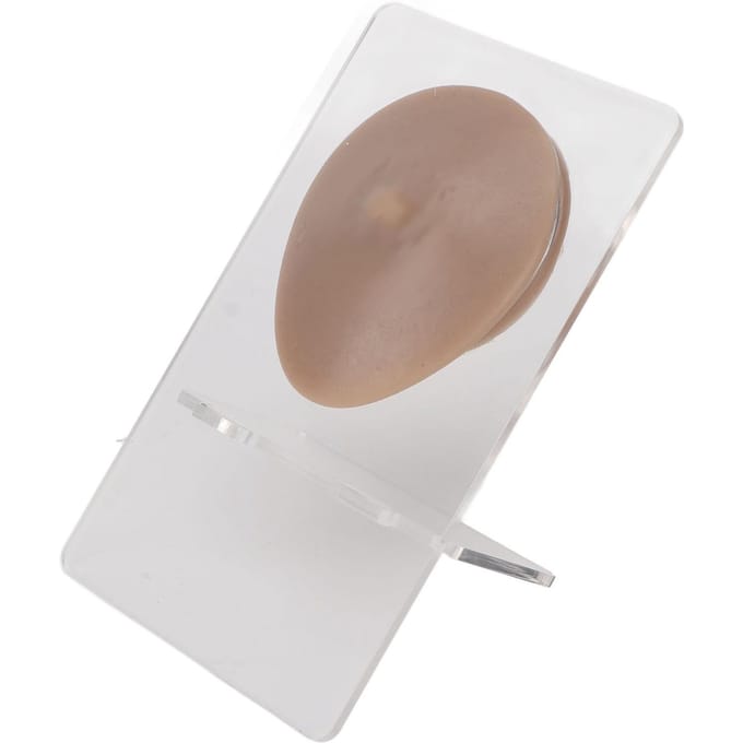 Modèle de mamelon unique en silicone souple 3D Simulation élastique Réutilisable Accessoires d'affichage Modèle de piercing corporel