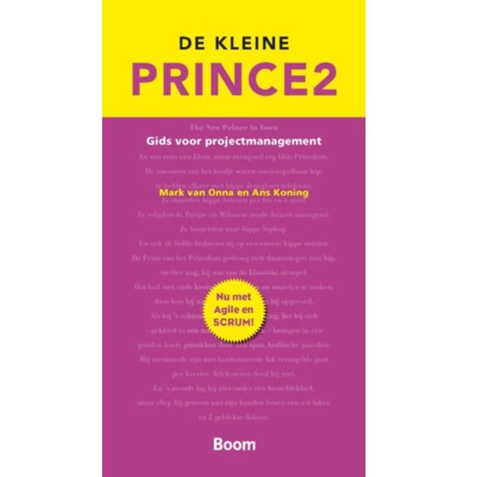 De Kleine Prince 2 - Mark van Onna