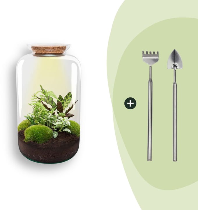 DIY terrarium - Botanical Sven XL -  43 cm -