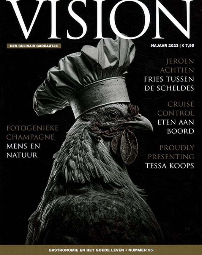 Vision - 55 2023