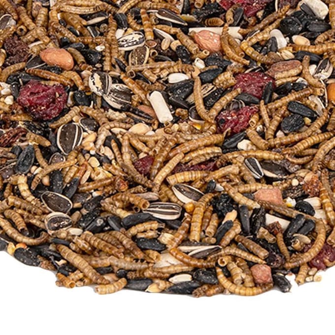 The bird family® - Strooivoer Excellent Meelworm en Fruit - 9 kg
