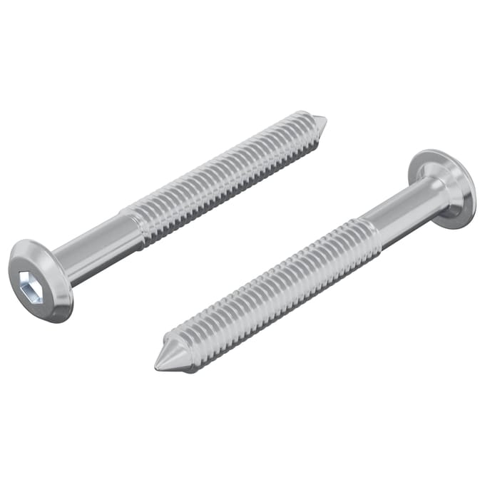 vidaXL Schroef 2 pcs Zilver M6 x 50 mm Staal