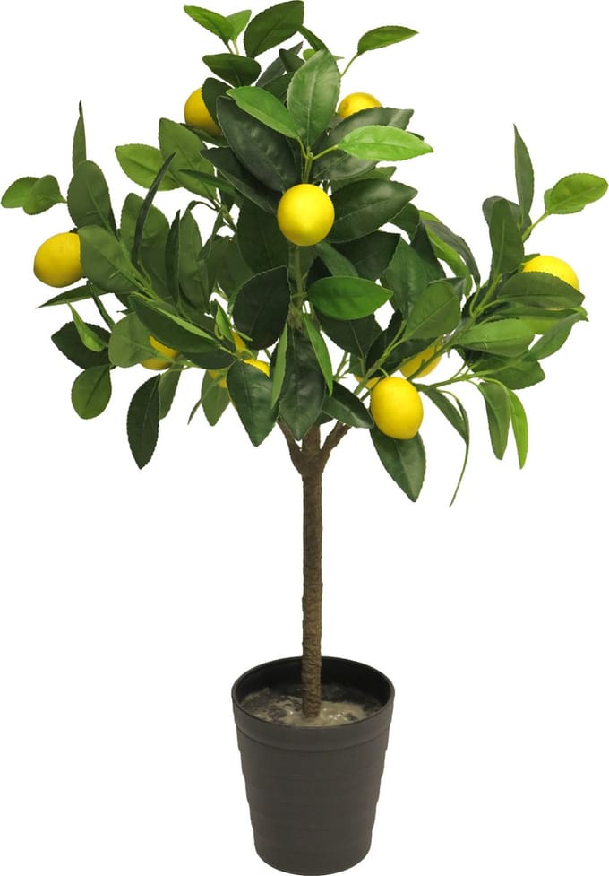 Bellatio design Kunstplant citrus boom in pot - citroen - 70 cm