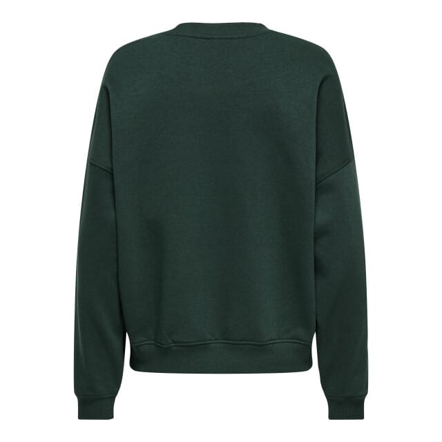 Jacqueline de Yong Jdymesa l/s o-neck emb sweat jrs no