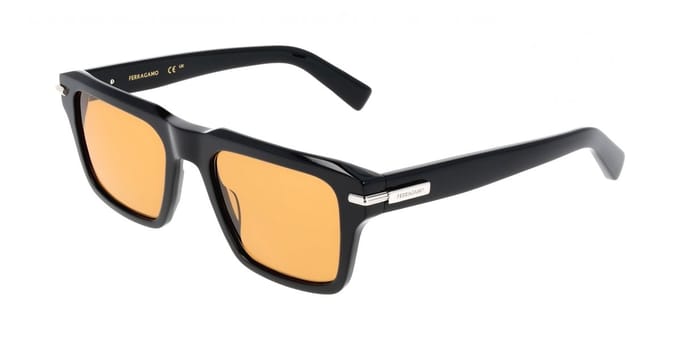 Ferragamo SF2079SLBI Transparent grey 54/20/145 MAN Zonnebrillen