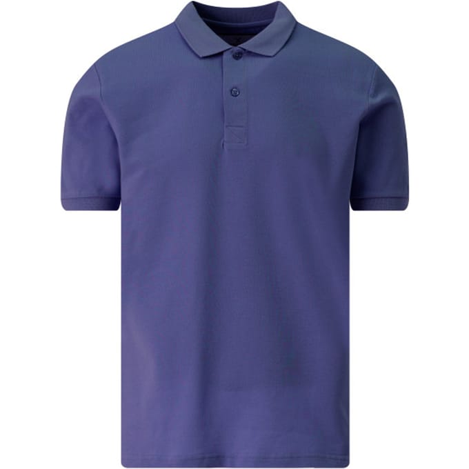 The BLUEPRINT Premium Polo Heren Blauw
