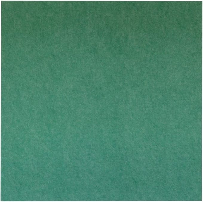 IVOL Akoestisch wandpaneel PET-vilt - 100x100 cm - Groen