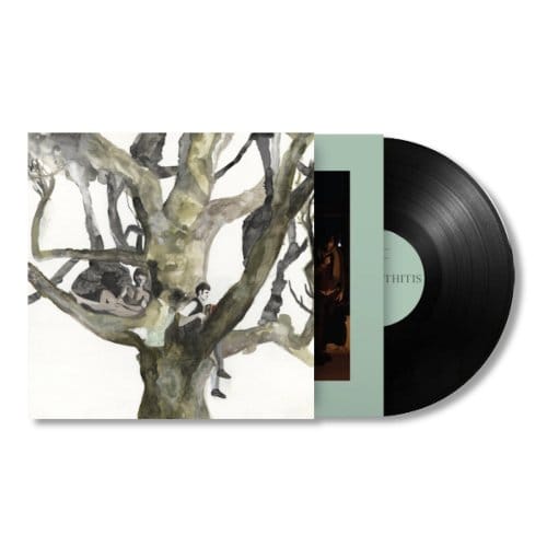 Destroyer - Labyrinthitis (LP)