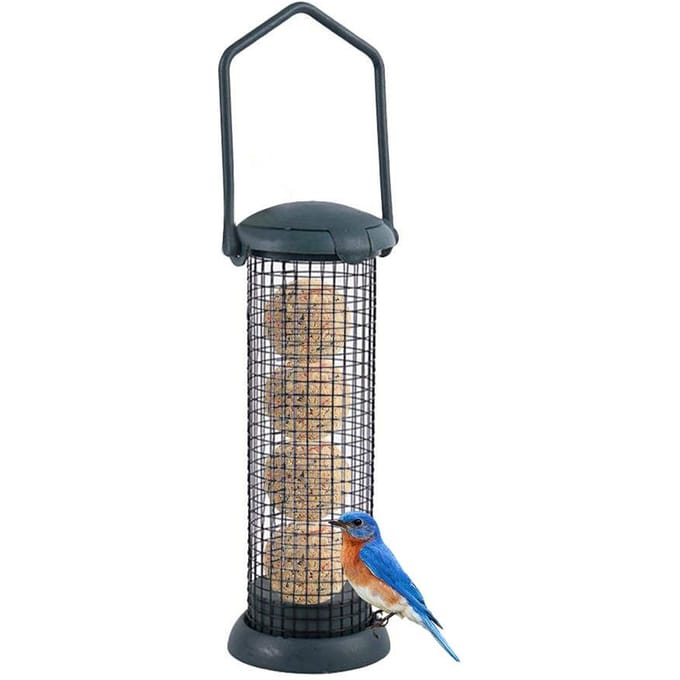 Mangeoire pour oiseaux en plein air, boule de graisse, distributeur de nourriture, mangeoire suspendue pour oiseaux sauvages vert foncé