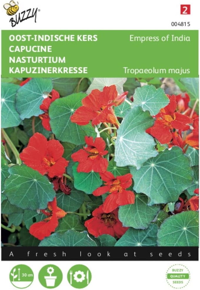 2 stuks - Buzzy - Tropaeolum majus nanum Empress Of India