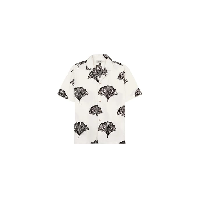 Shirt Imago Kotor