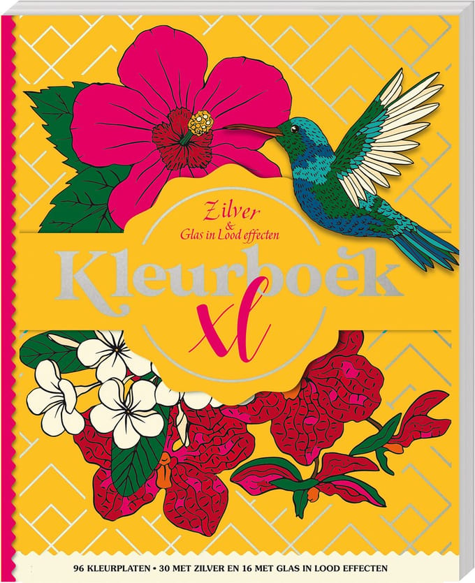 Kleurboek Xl - Zilver & Glas In Lood Effecten - Interstat