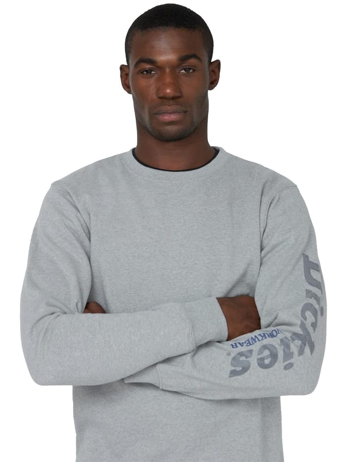 Dickies Grafisch Sweatshirt