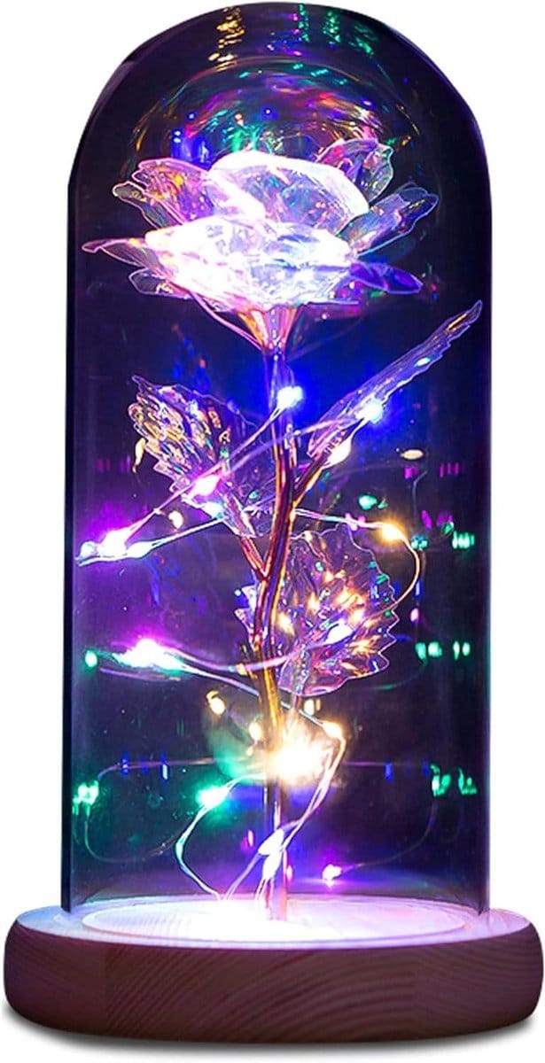 Betoverde Roos - Glazen Koepel - Romantische Sfeer - Met LED Licht - 13.6 Ons - Multicolor