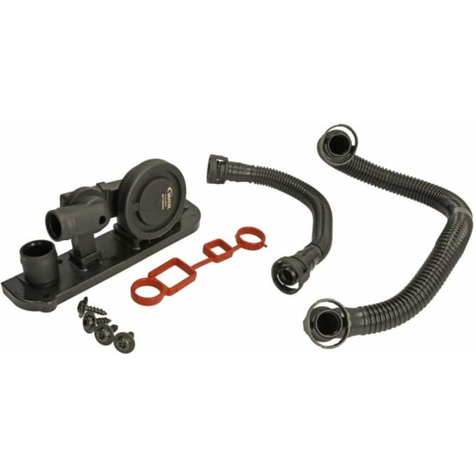 Reparatieset, carterventilatie EXPERT KITS VAICO V10-3247