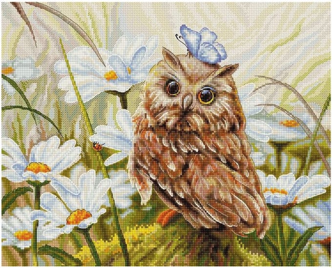 Luca-S Lucky Owl borduren (pakket) B7011