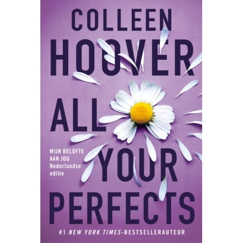 All Your Perfects - Colleen Hoover