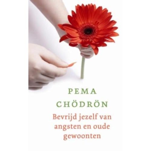 Bevrijd Jezelf Van Angsten En Oude Gewoonten - Pema Chödrön