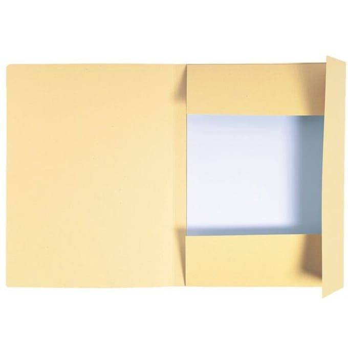 Exacompta 50x FOREVER® bedrukte map met 3 kleppen - 280gm2 - 24x32 cm voor A4 - Gems - 448002E